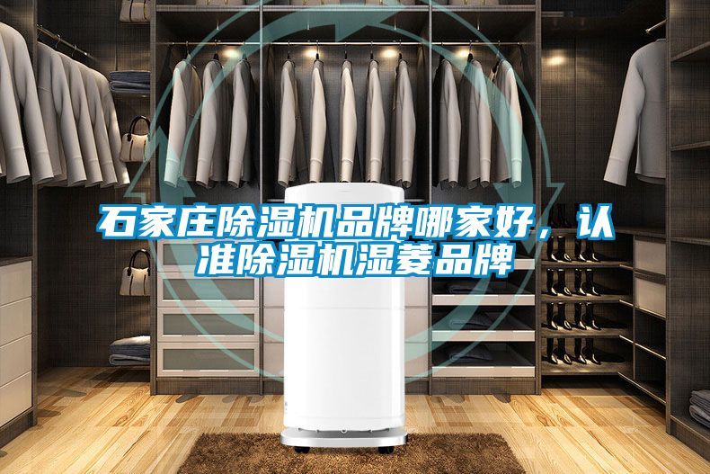 石家莊除濕機(jī)品牌哪家好，認(rèn)準(zhǔn)除濕機(jī)濕菱品牌