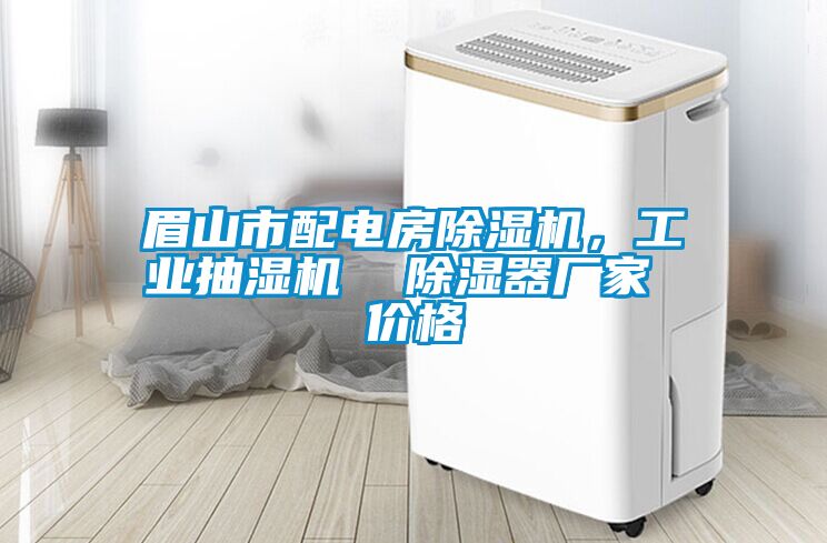 眉山市配電房除濕機(jī)，工業(yè)抽濕機(jī)  除濕器廠家 價(jià)格