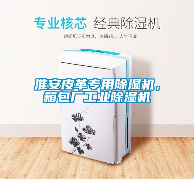 淮安皮革專用除濕機(jī)，箱包廠工業(yè)除濕機(jī)