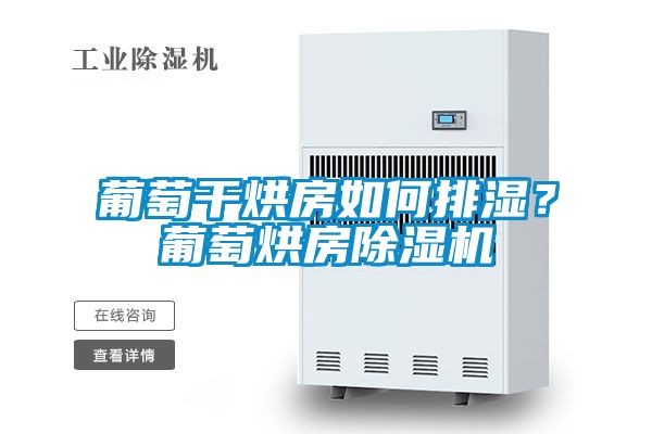 葡萄干烘房如何排濕？葡萄烘房除濕機(jī)