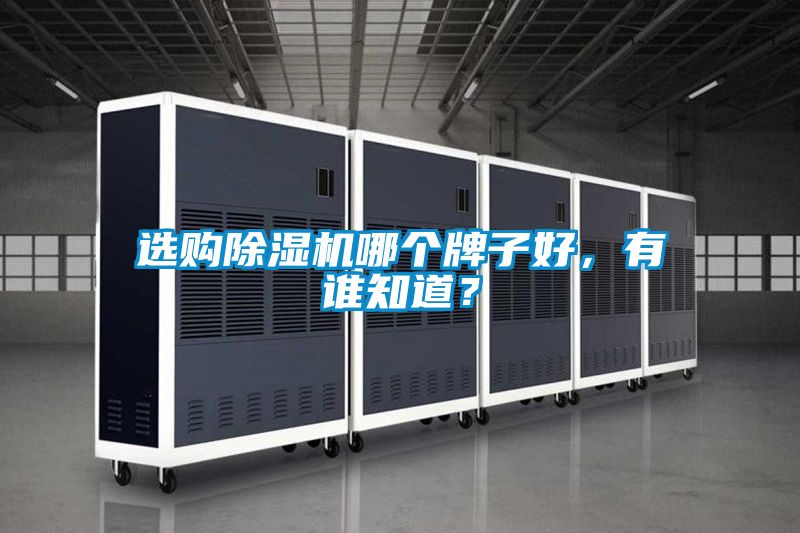 選購(gòu)除濕機(jī)哪個(gè)牌子好，有誰(shuí)知道？