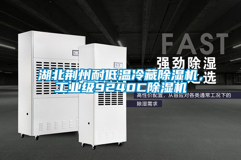 湖北荊州耐低溫冷藏除濕機(jī)，工業(yè)級(jí)9240C除濕機(jī)