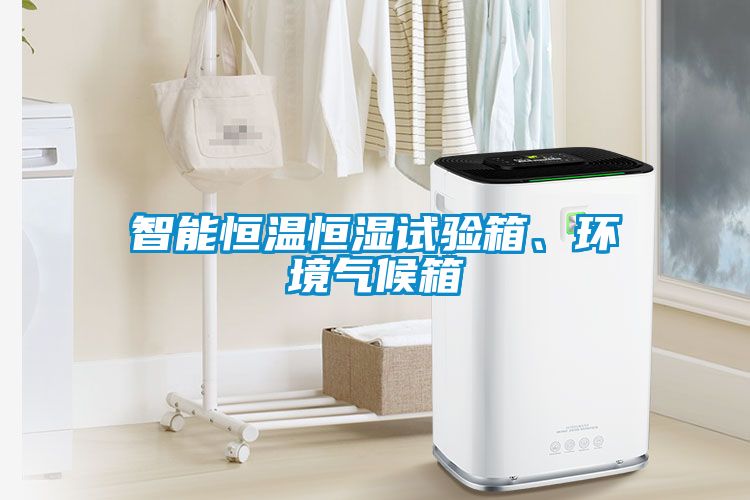 智能恒溫恒濕試驗(yàn)箱、環(huán)境氣候箱