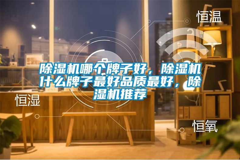 除濕機哪個牌子好，除濕機什么牌子最好品質最好，除濕機推薦