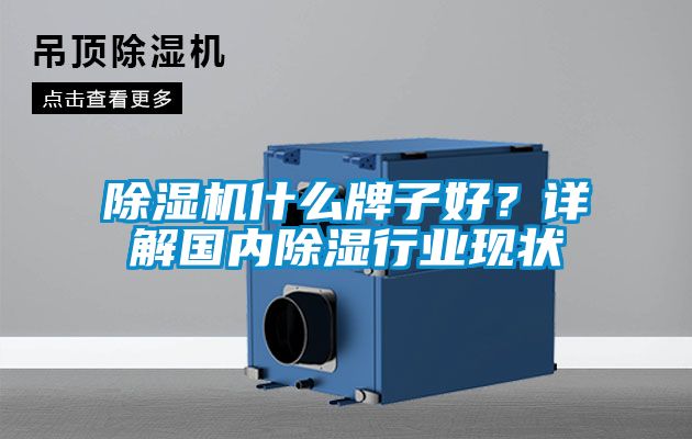 除濕機(jī)什么牌子好？詳解國內(nèi)除濕行業(yè)現(xiàn)狀