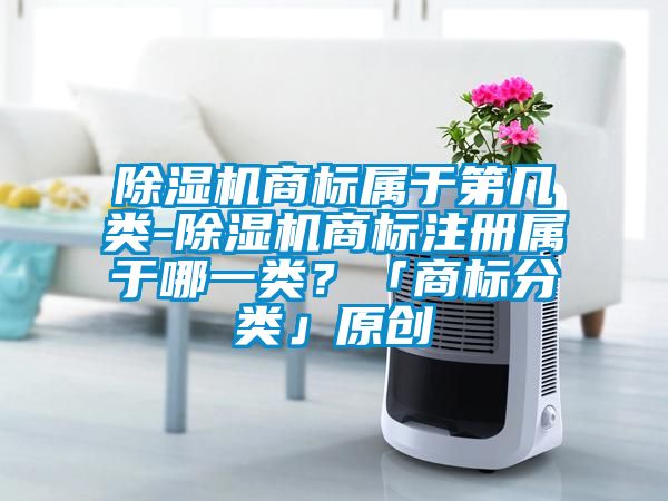 除濕機(jī)商標(biāo)屬于第幾類(lèi)-除濕機(jī)商標(biāo)注冊(cè)屬于哪一類(lèi)？「商標(biāo)分類(lèi)」原創(chuàng)
