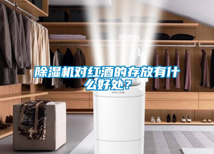 除濕機(jī)對(duì)紅酒的存放有什么好處？