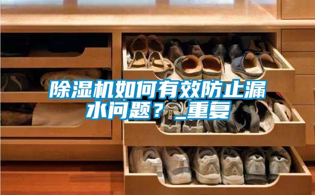 除濕機如何有效防止漏水問題？_重復