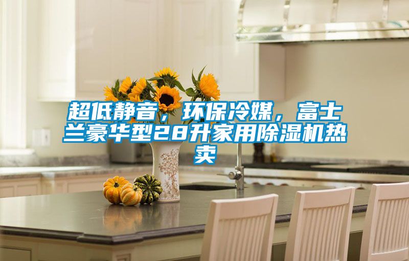 超低靜音，環(huán)保冷媒，富士蘭豪華型28升家用除濕機(jī)熱賣