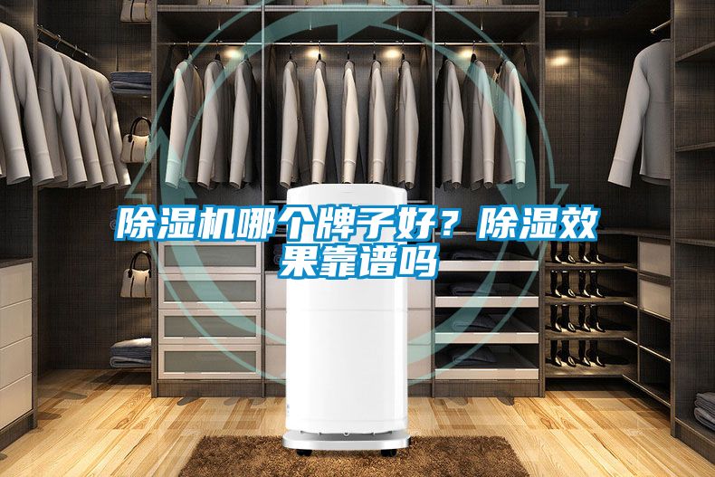 除濕機(jī)哪個(gè)牌子好？除濕效果靠譜嗎
