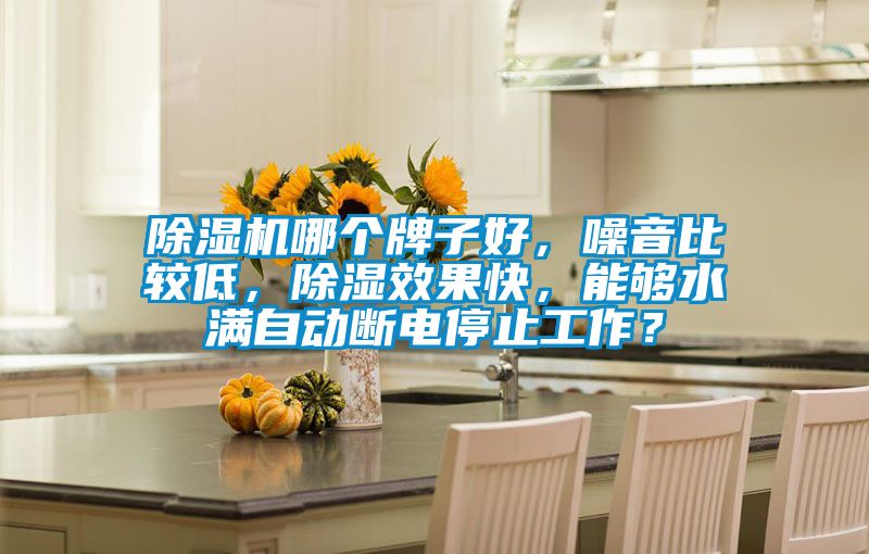 除濕機哪個牌子好，噪音比較低，除濕效果快，能夠水滿自動斷電停止工作？