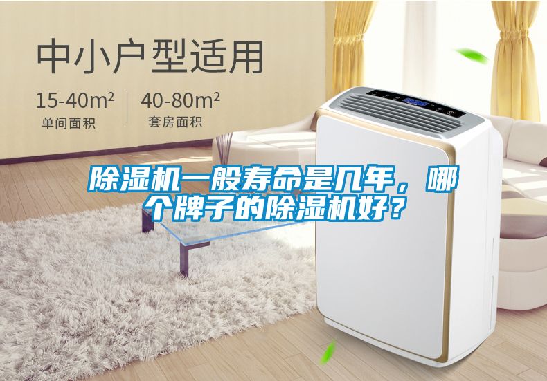 除濕機一般壽命是幾年，哪個牌子的除濕機好？