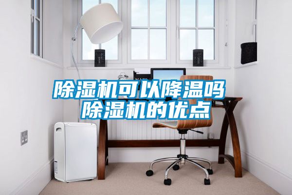 除濕機(jī)可以降溫嗎 除濕機(jī)的優(yōu)點