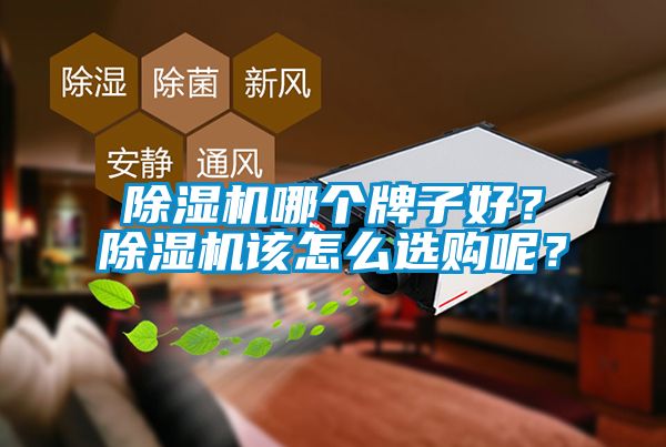 除濕機(jī)哪個(gè)牌子好？除濕機(jī)該怎么選購(gòu)呢？