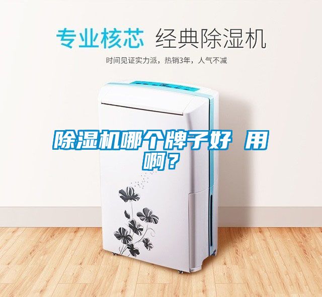除濕機(jī)哪個牌子好 用?。?></div>
								<div   id=