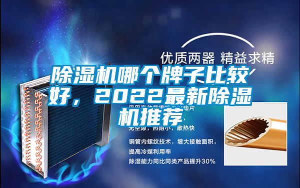 除濕機哪個牌子比較好，2022最新除濕機推薦