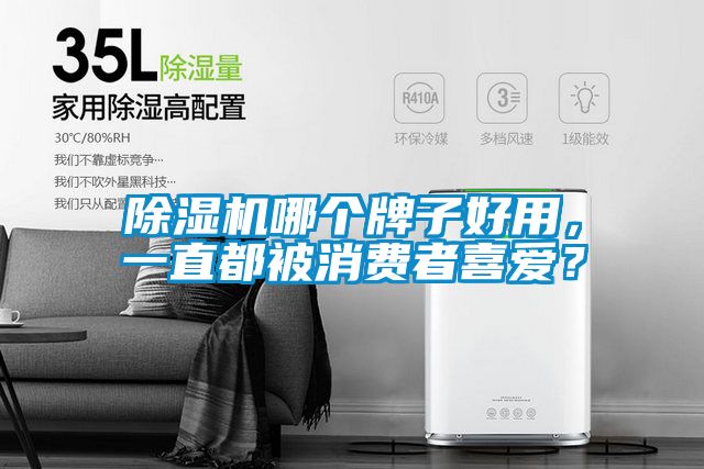 除濕機(jī)哪個(gè)牌子好用，一直都被消費(fèi)者喜愛(ài)？