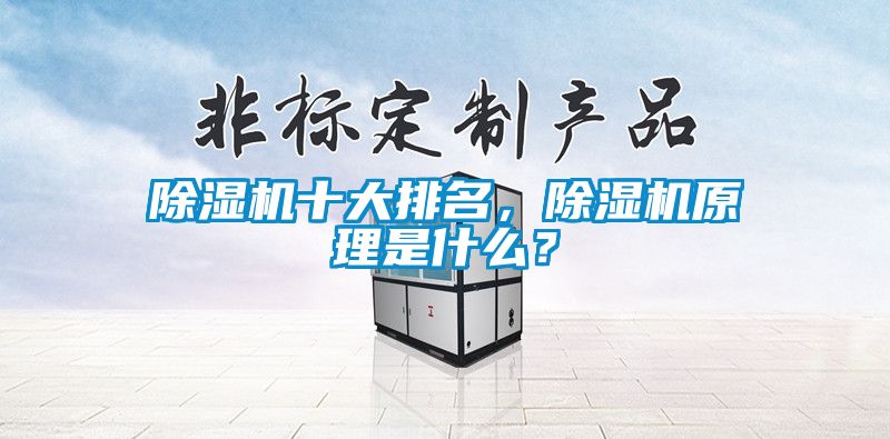 除濕機(jī)十大排名，除濕機(jī)原理是什么？