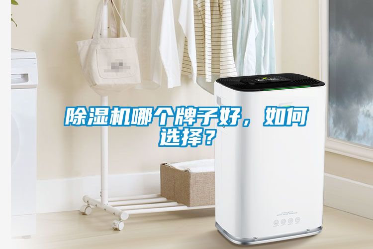 除濕機哪個牌子好，如何選擇？