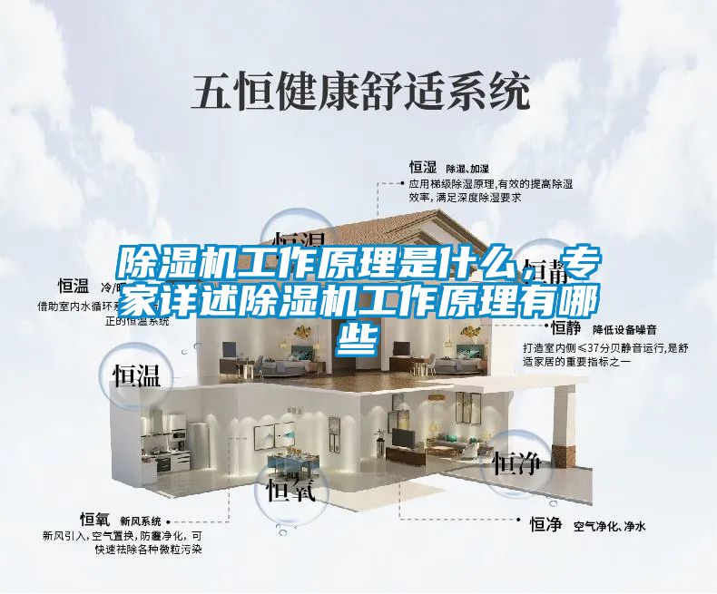 除濕機(jī)工作原理是什么，專家詳述除濕機(jī)工作原理有哪些