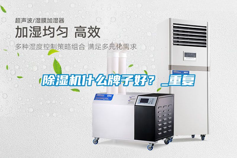 除濕機(jī)什么牌子好？_重復(fù)