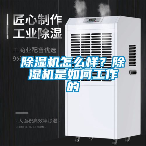 除濕機(jī)怎么樣？除濕機(jī)是如何工作的