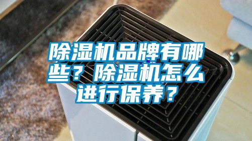 除濕機(jī)品牌有哪些？除濕機(jī)怎么進(jìn)行保養(yǎng)？