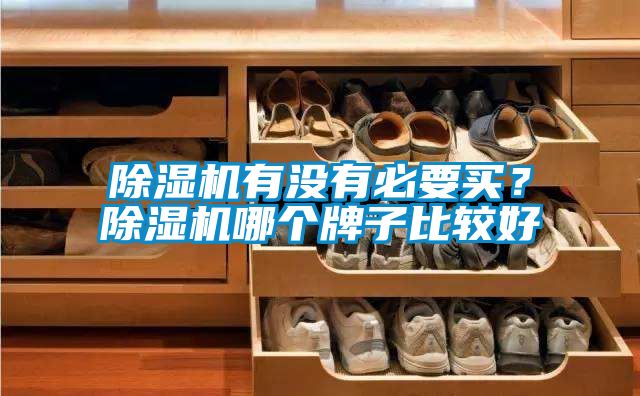 除濕機(jī)有沒有必要買？除濕機(jī)哪個(gè)牌子比較好
