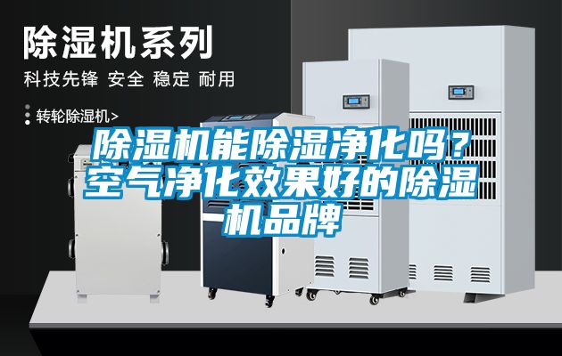 除濕機能除濕凈化嗎？空氣凈化效果好的除濕機品牌