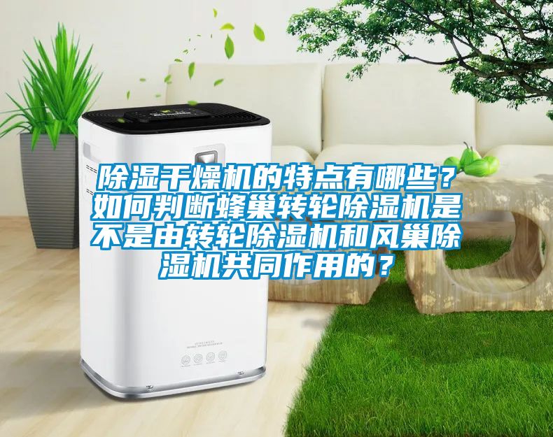 除濕干燥機的特點有哪些？如何判斷蜂巢轉(zhuǎn)輪除濕機是不是由轉(zhuǎn)輪除濕機和風(fēng)巢除濕機共同作用的？