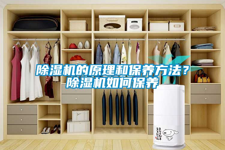 除濕機的原理和保養(yǎng)方法？除濕機如何保養(yǎng)