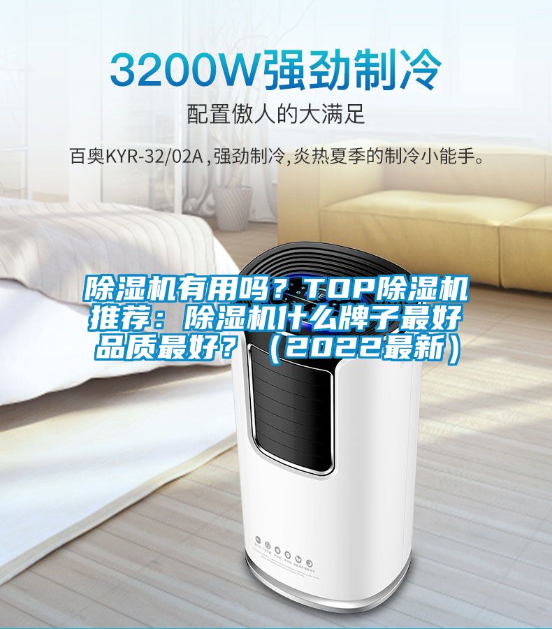 除濕機(jī)有用嗎？TOP除濕機(jī)推薦：除濕機(jī)什么牌子最好品質(zhì)最好？（2022最新）