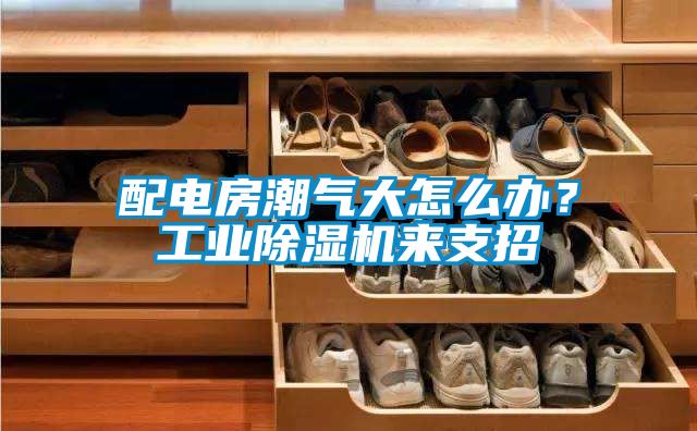 配電房潮氣大怎么辦？工業(yè)除濕機(jī)來支招