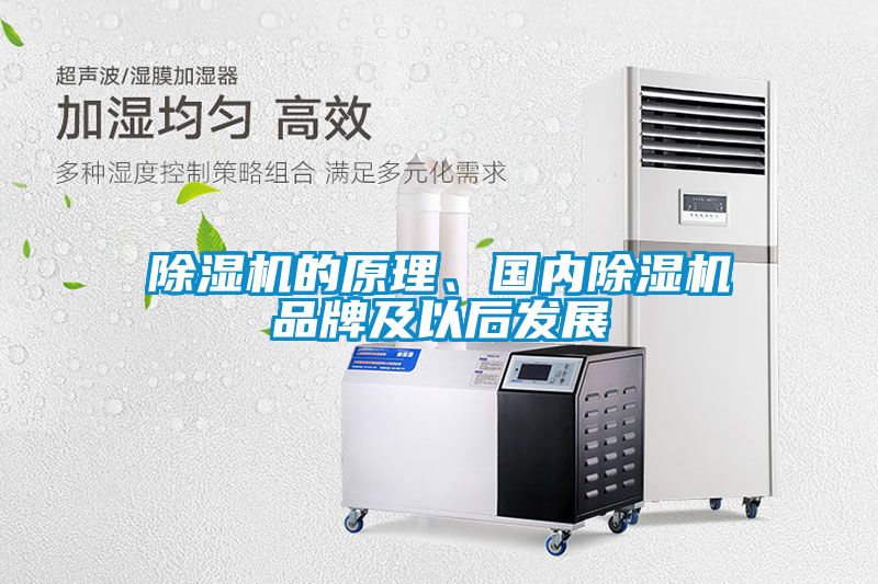 除濕機(jī)的原理、國內(nèi)除濕機(jī)品牌及以后發(fā)展