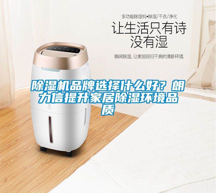 除濕機(jī)品牌選擇什么好？朗力信提升家居除濕環(huán)境品質(zhì)