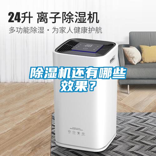 除濕機還有哪些效果？