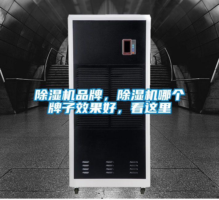 除濕機品牌，除濕機哪個牌子效果好，看這里