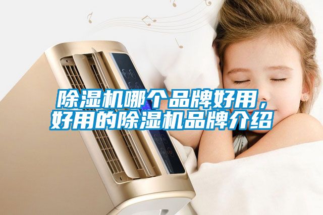 除濕機(jī)哪個(gè)品牌好用，好用的除濕機(jī)品牌介紹