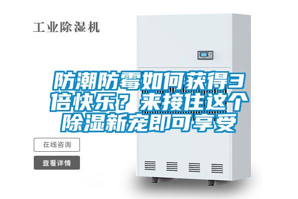 防潮防霉如何獲得3倍快樂？來接住這個除濕新寵即可享受