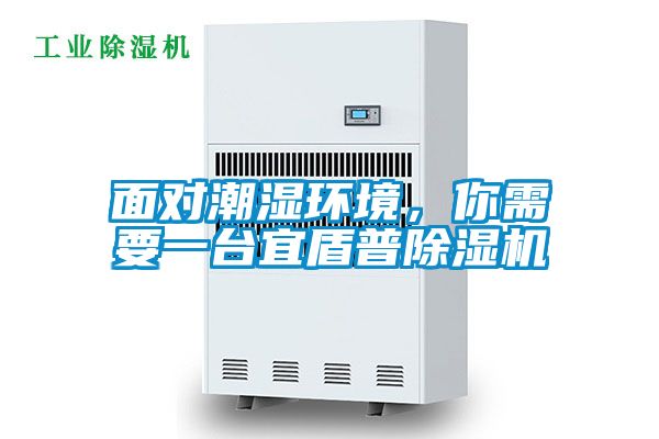 面對(duì)潮濕環(huán)境，你需要一臺(tái)宜盾普除濕機(jī)