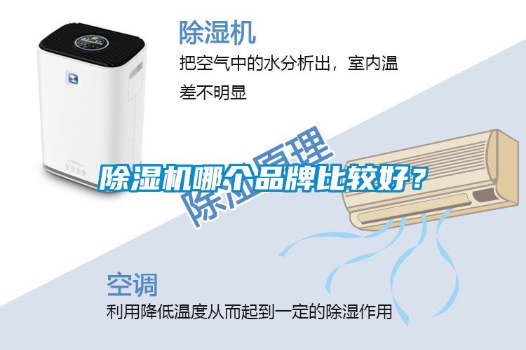 除濕機(jī)哪個(gè)品牌比較好？