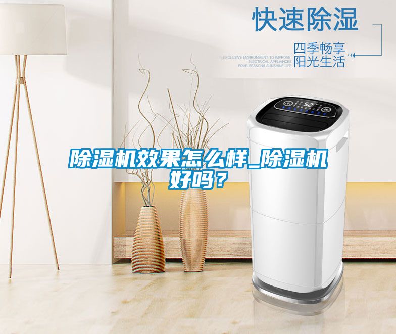 除濕機效果怎么樣_除濕機好嗎？