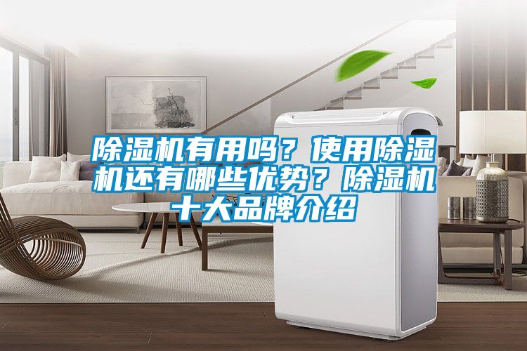 除濕機(jī)有用嗎？使用除濕機(jī)還有哪些優(yōu)勢(shì)？除濕機(jī)十大品牌介紹