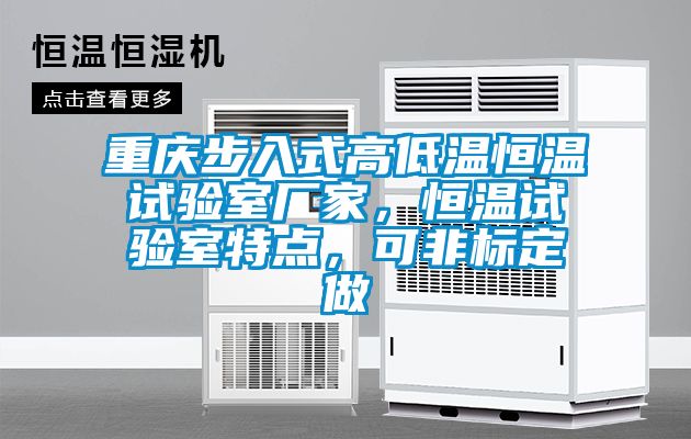 重慶步入式高低溫恒溫試驗(yàn)室廠家，恒溫試驗(yàn)室特點(diǎn)，可非標(biāo)定做
