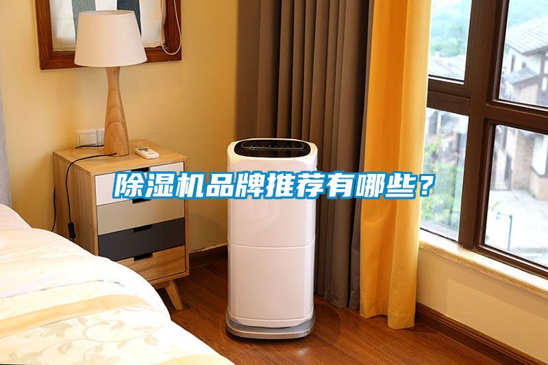 除濕機品牌推薦有哪些？