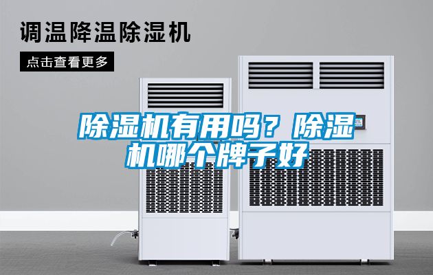 除濕機(jī)有用嗎？除濕機(jī)哪個(gè)牌子好