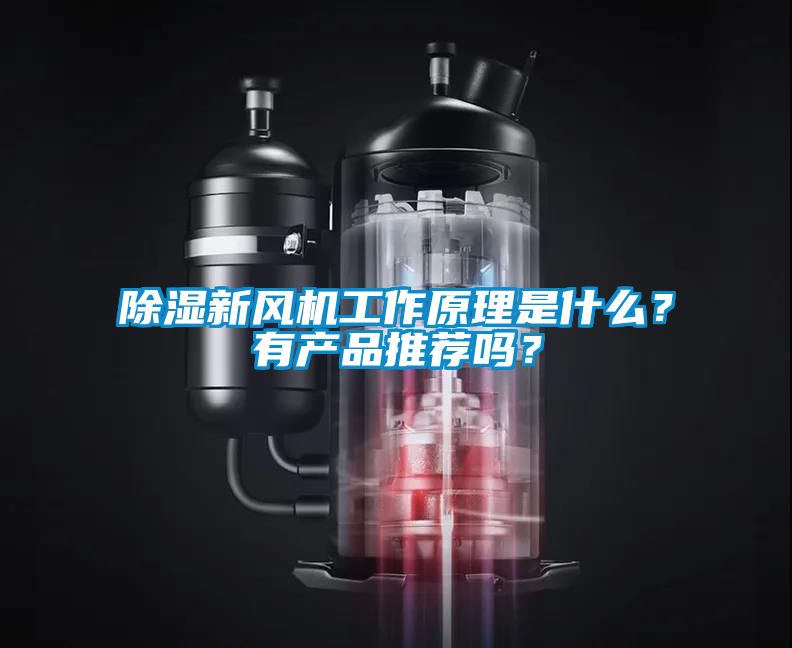 除濕新風(fēng)機(jī)工作原理是什么？有產(chǎn)品推薦嗎？