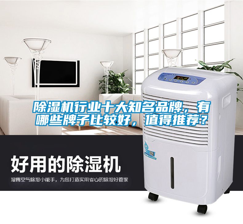 除濕機(jī)行業(yè)十大知名品牌，有哪些牌子比較好，值得推薦？