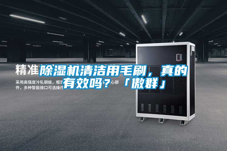 除濕機(jī)清潔用毛刷，真的有效嗎？「傲群」