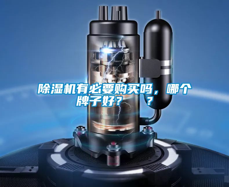 除濕機(jī)有必要購買嗎，哪個牌子好？  ？